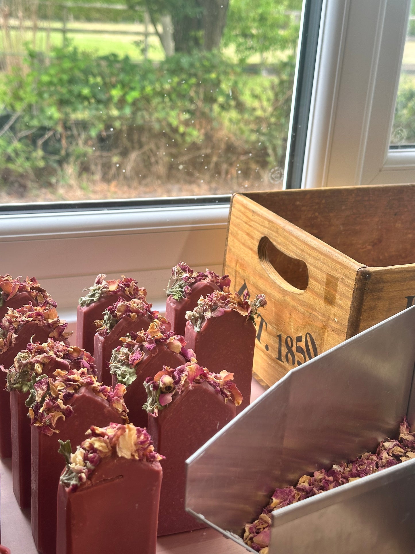 PROBIOTIC KOMBUCHA SOAP