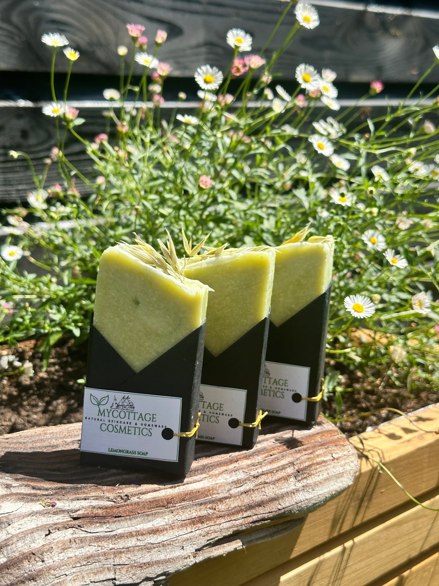 PROBIOTIC KOMBUCHA SOAP