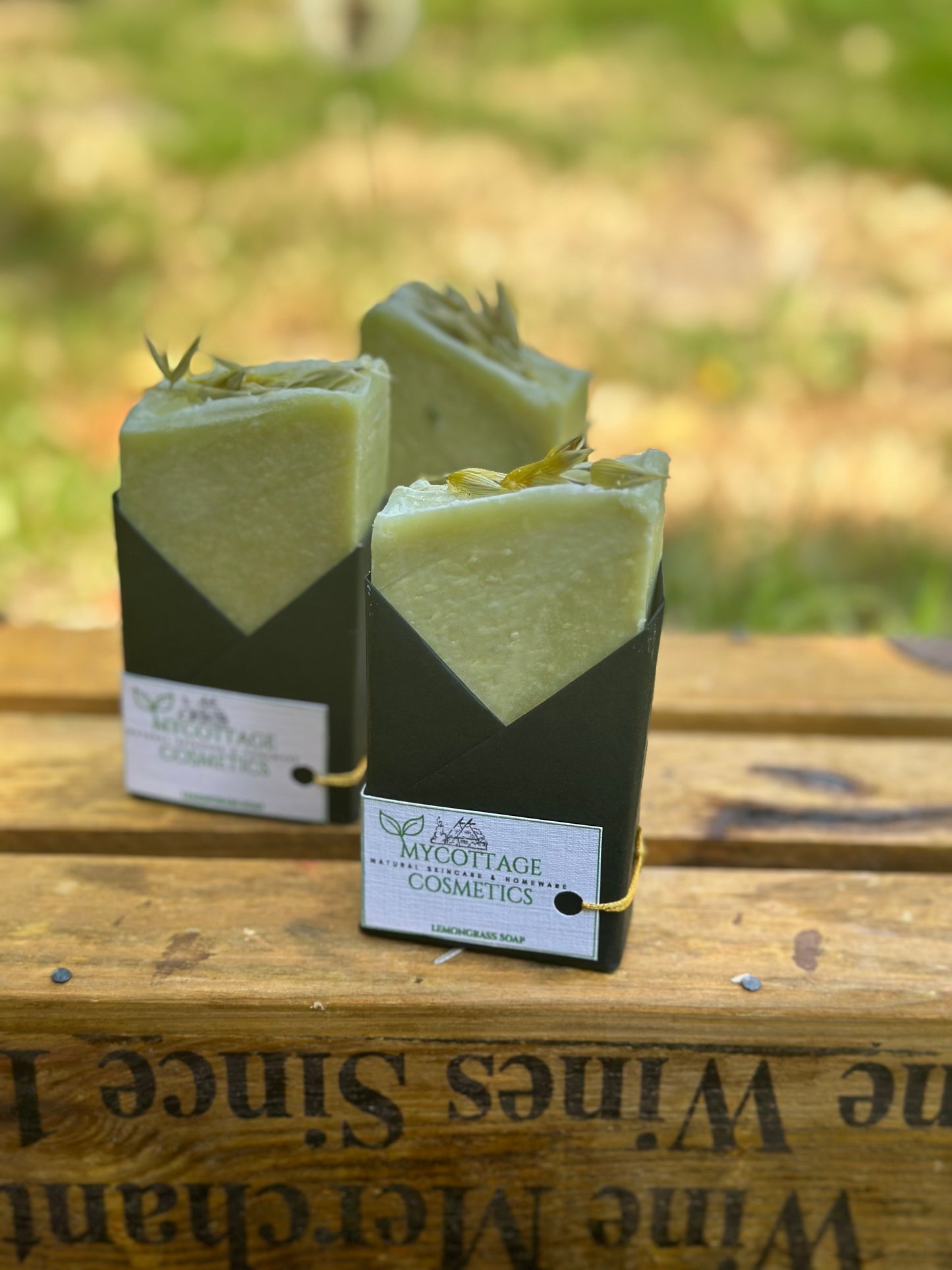 PROBIOTIC KOMBUCHA SOAP for MEN