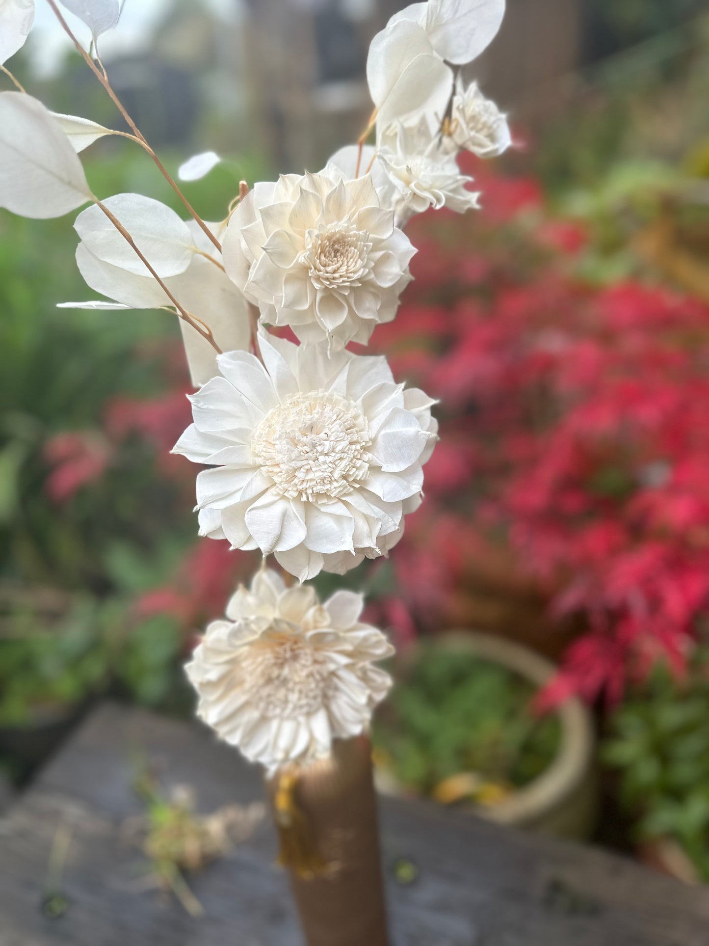 NATURAL WOOD DIFFUSER FLOWERS - DAHLIA A