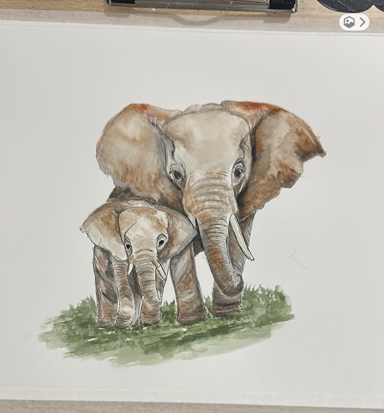 ELEPHANTS HANDPAINTED OYSTER SHELL SOAP DISH AND SOAP