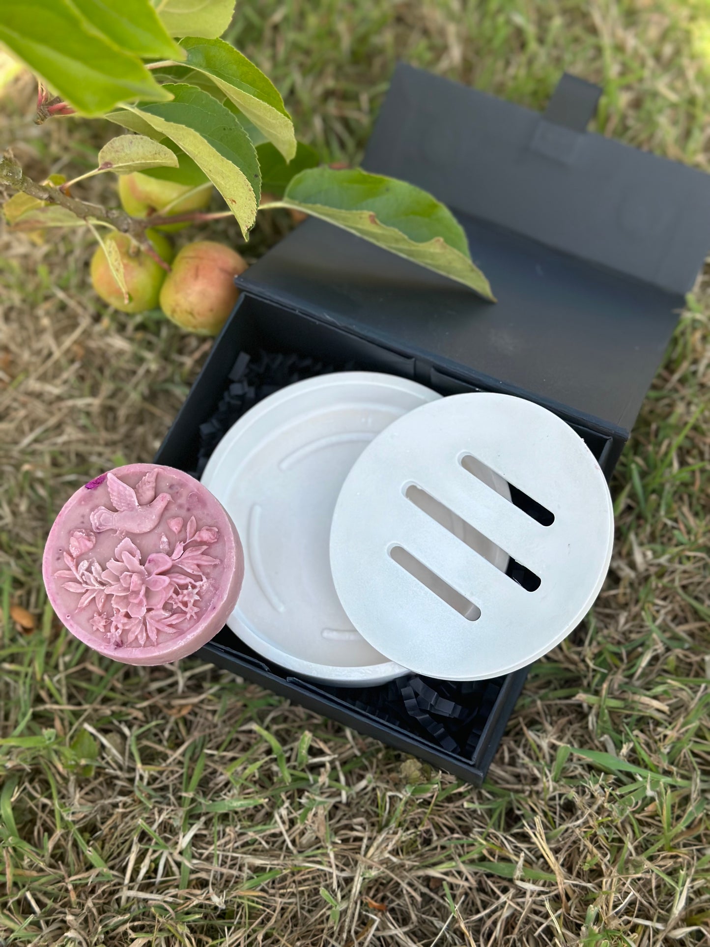 ELEGANT SOAP DISH AND PROBIOTIC SOAP