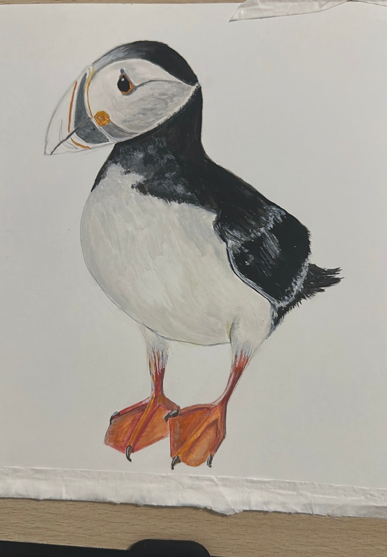 PUFFIN HANDPAINTED OYSTER SHELL SOAP DISH AND SOAP