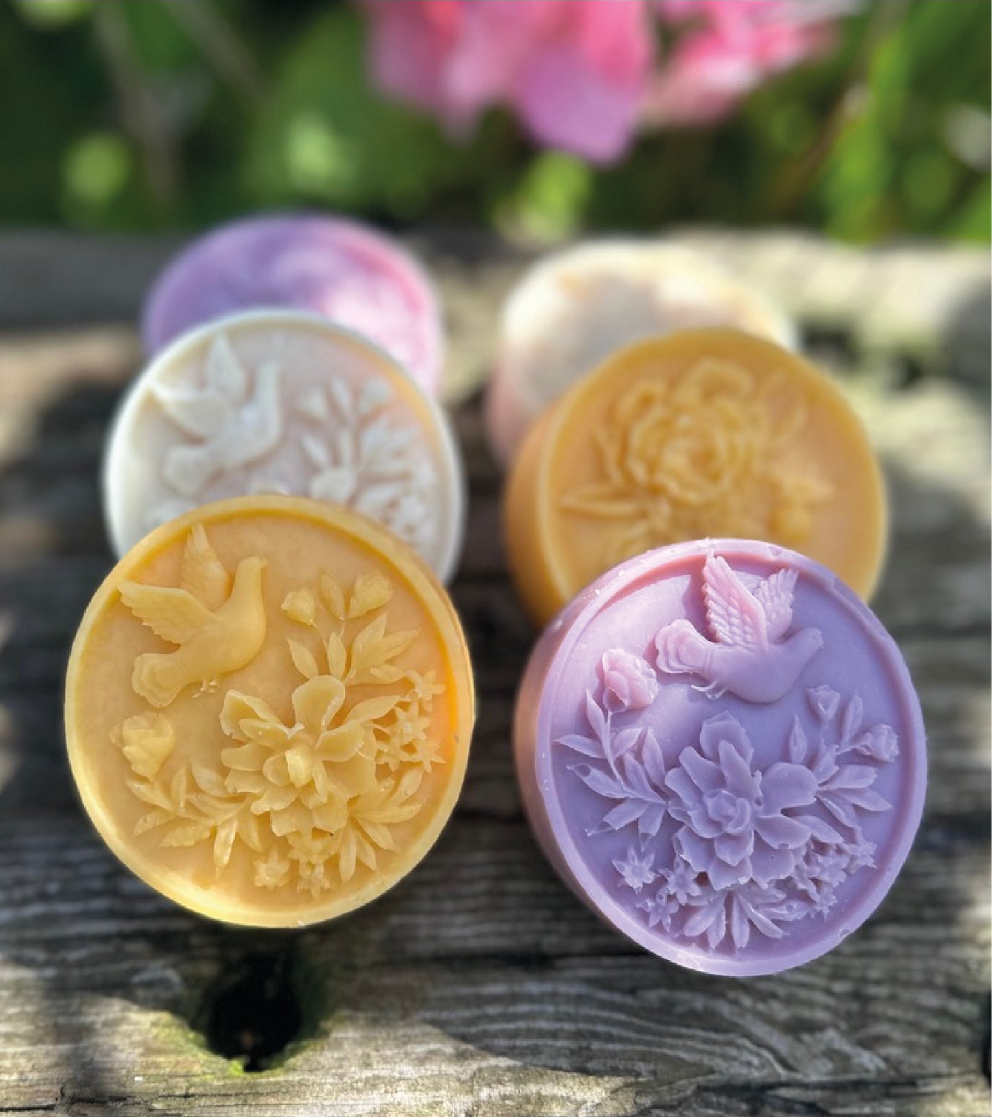 ELEPHANT OYSTER SHELL SOAP DISH