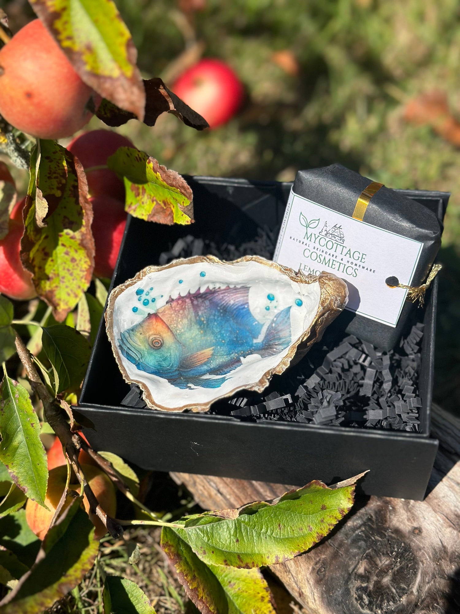Elegant Oyster Shell Soap Dish with Probiotic Soap