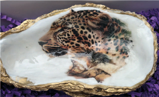 LEOPARD OYSTER SHELL SOAP DISH