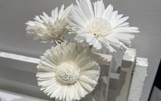 NATURAL SOLA WOOD FLOWER DIFFUSER KIT - DAISY