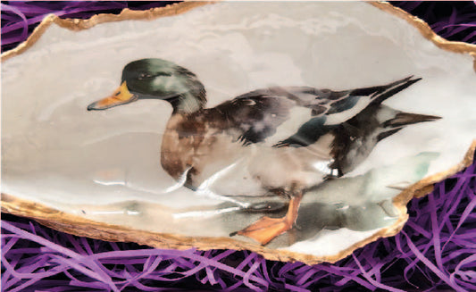 MALLARD DUCK OYSTER SHELL SOAP DISH