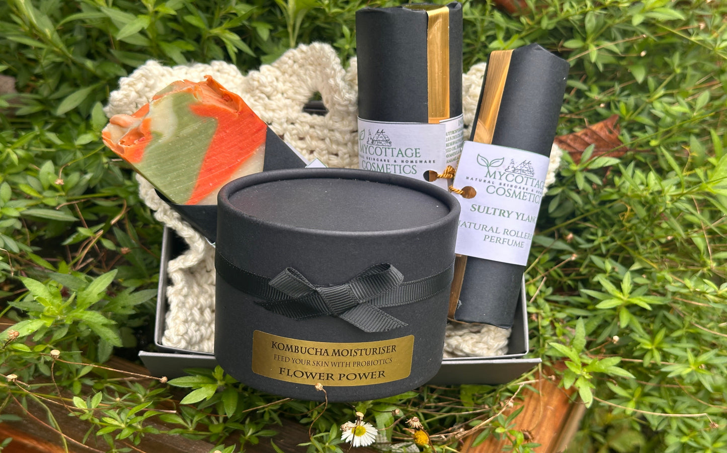 PROBIOTIC GIFT BOX  - LADIES