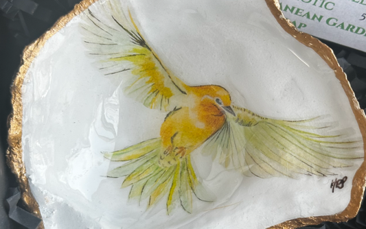 CANARY HANDPAINTED OYSTER SHELL SOAP DISH AND SOAP