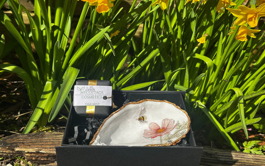 bee and cosmos designed shell soap dish