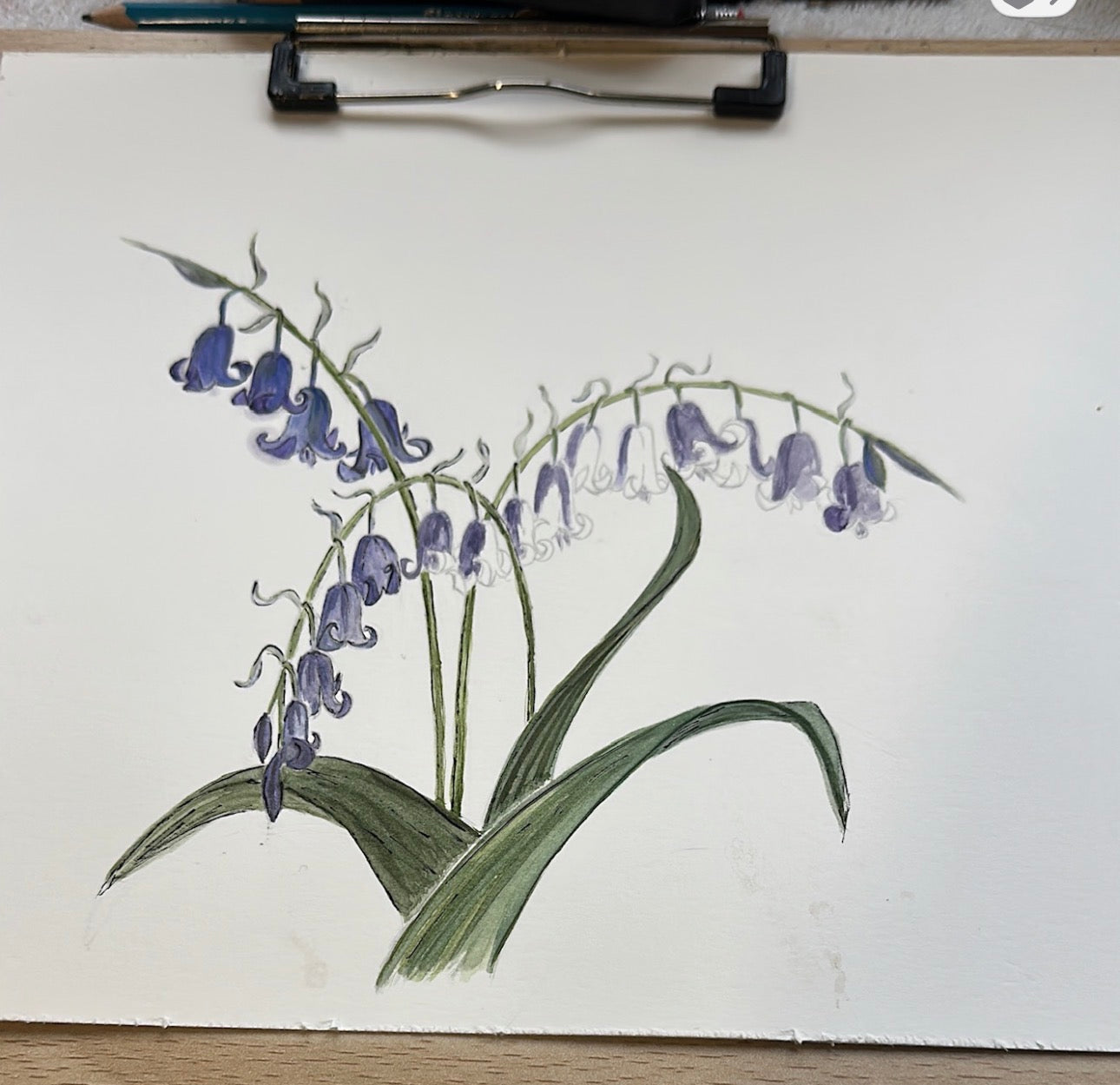 BLUEBELL HANDPAINTED OYSTER SHELL SOAP DISH AND SOAP