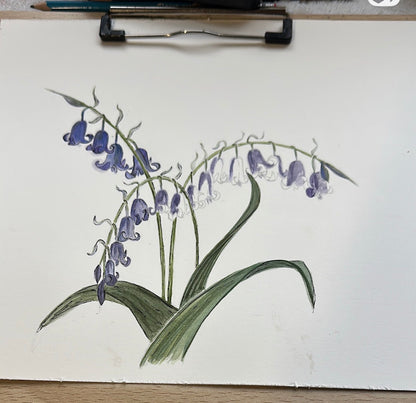 BLUEBELL HANDPAINTED OYSTER SHELL SOAP DISH AND SOAP