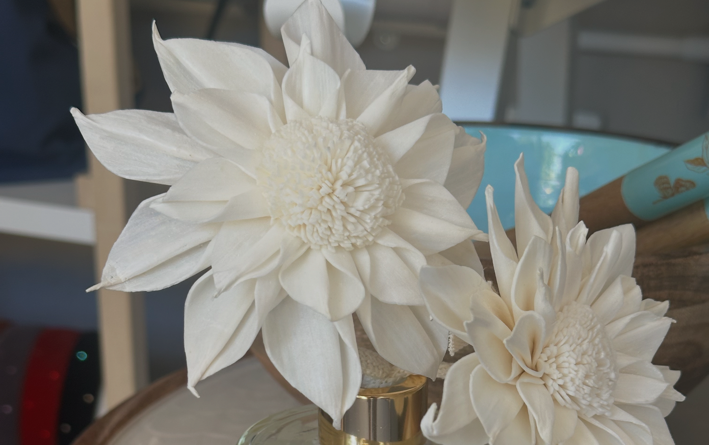NATURAL SOLA WOOD FLOWER DIFFUSER KIT - DAHLIA