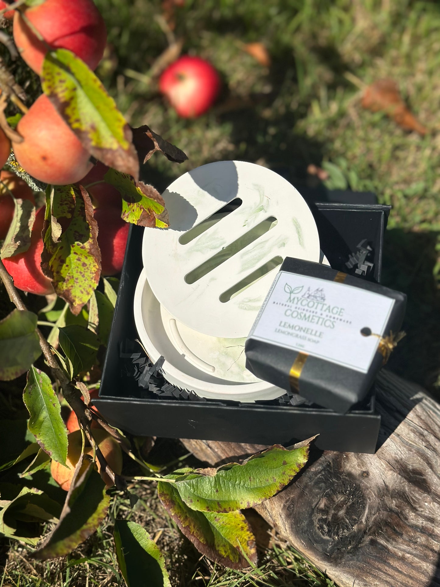 ELEGANT SOAP DISH AND PROBIOTIC SOAP