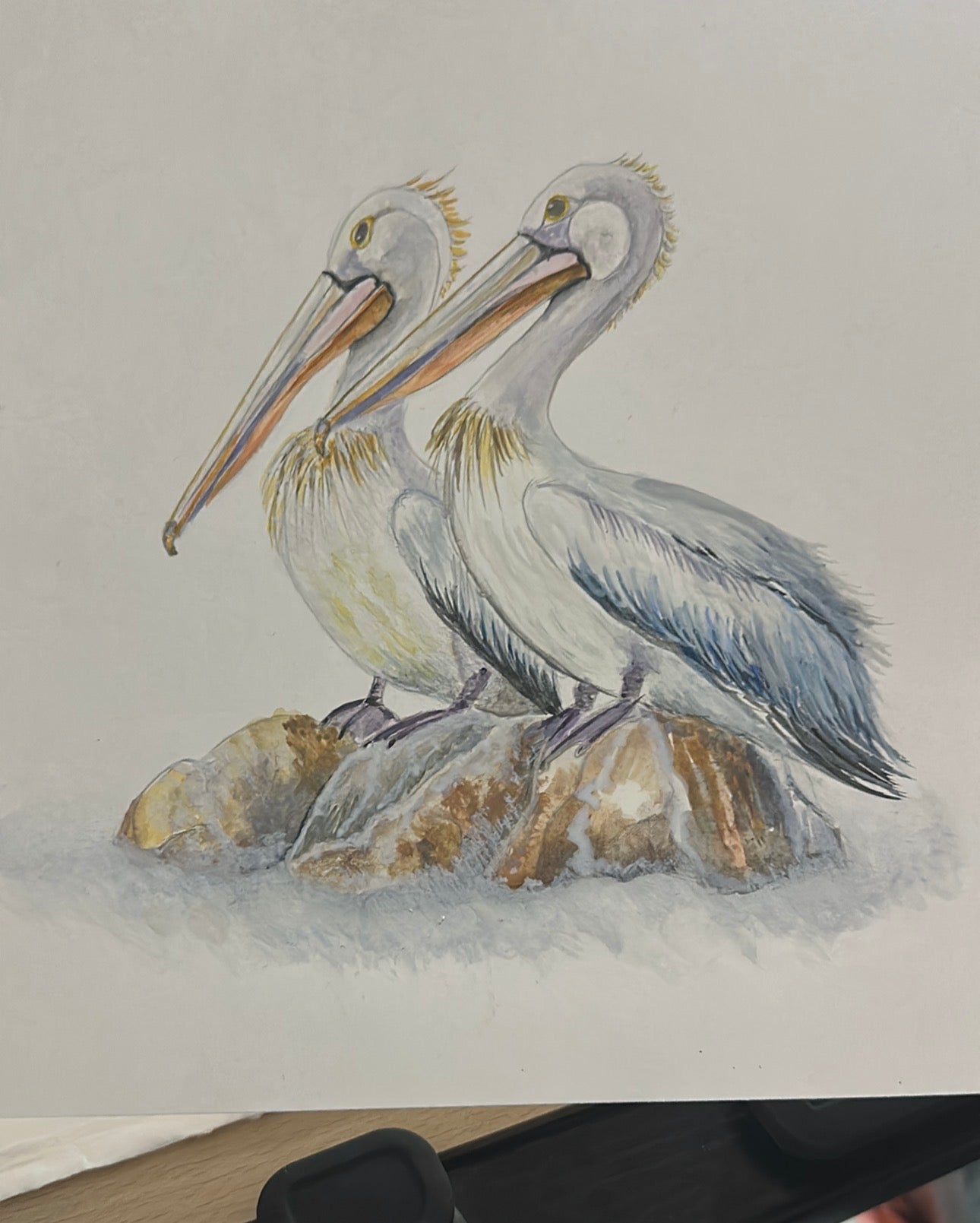 PELICANS HANDPAINTED OYSTER SHELL SOAP DISH AND SOAP