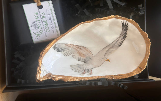 SEAGULL HANDPAINTED OYSTER SHELL SOAP DISH AND SOAP