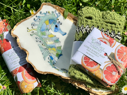 SEAHORSE HANDPAINTED BATHROOM DISH WITH PROBIOTICS