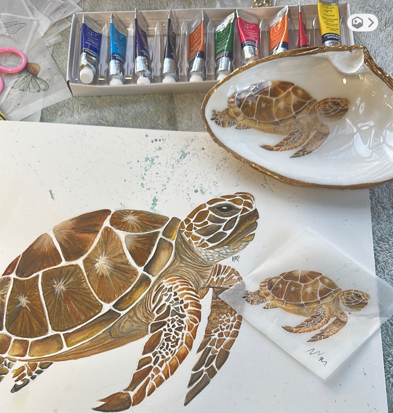 TURTLE DESIGN OYSTER SHELL SOAP DISH