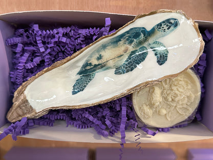 TURTLE OYSTER SHELL SOAP DISH