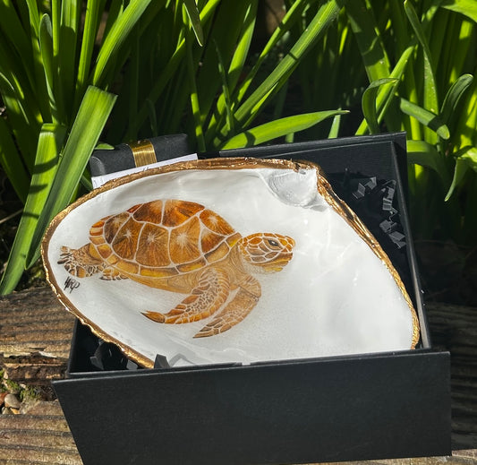 TURTLE DESIGN OYSTER SHELL SOAP DISH