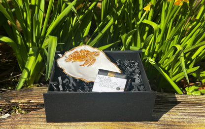handpainted turtle soap dish 