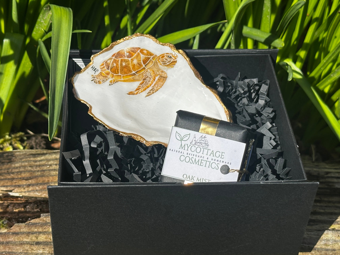 TURTLE DESIGN OYSTER SHELL SOAP DISH