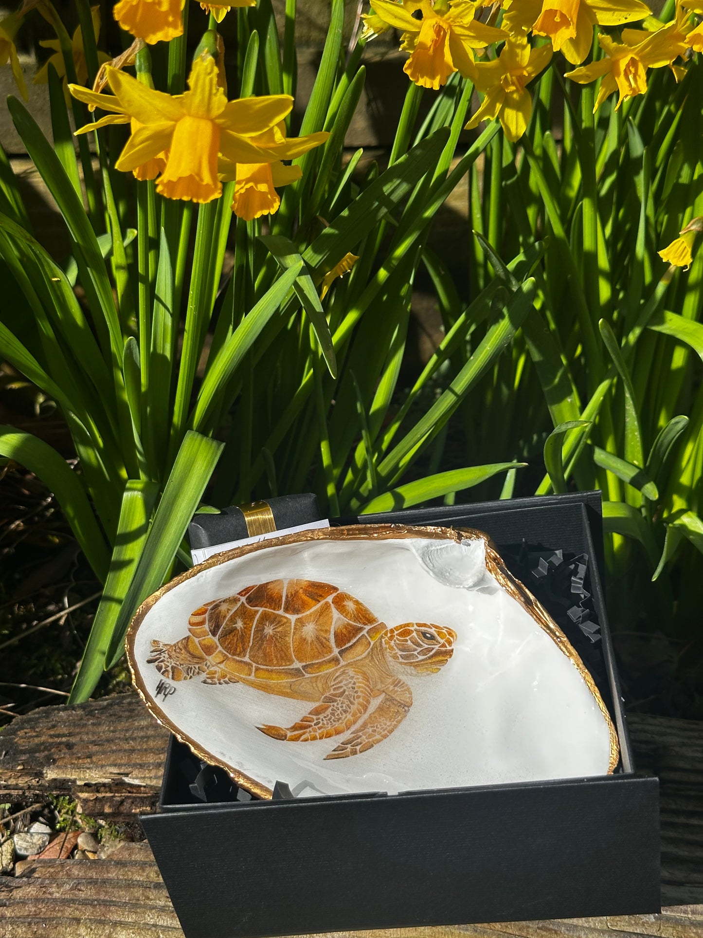 TURTLE DESIGN OYSTER SHELL SOAP DISH